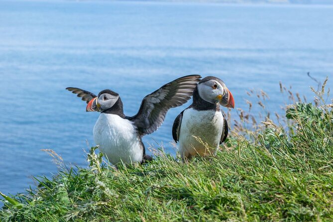 1 Day Moray Coast Tour with Speyside Whisky from Inverness - What this Moray Coast day actually gives you