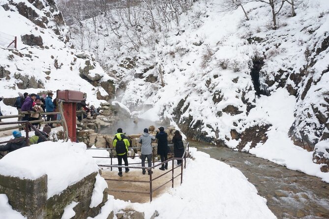 1-Day Snow Monkeys, Zenko-ji Temple & Sake in Nagano - Can you do this from Tokyo in one day?