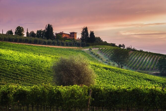 2 Hours Visit and Wine Tasting with tastings in Val D'Orcia - Key points at a glance