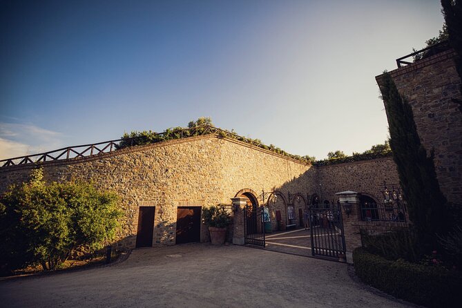 2 Hours Visit and Wine Tasting with tastings in Val D'Orcia - Starting among the vines