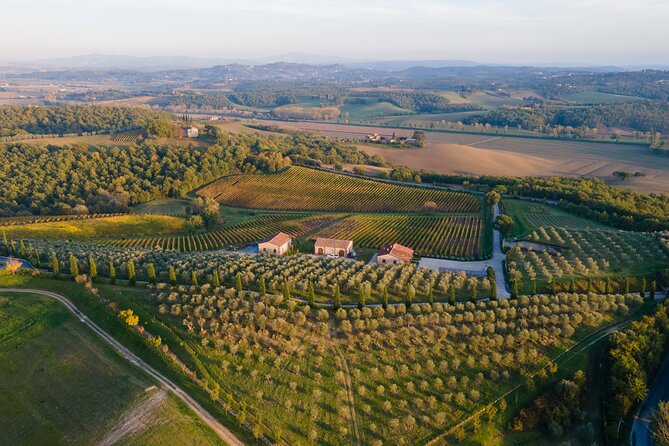 2 Hours Visit and Wine Tasting with tastings in Val D'Orcia - Is $84.10 a fair price?