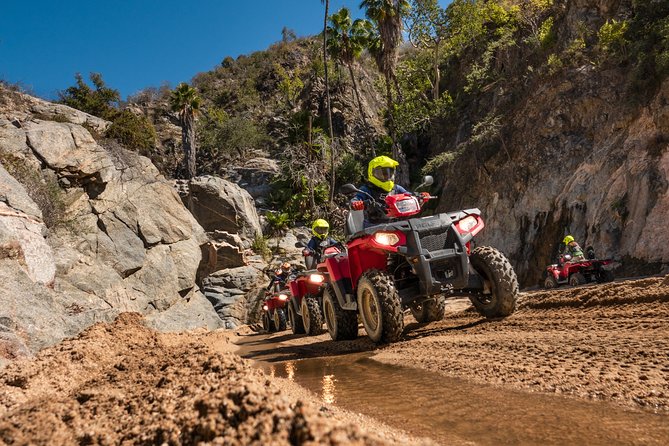 4x4 ATV Adventure with Tequila Tasting and Mexican Buffet Lunch - Oceanfront lunch after the dust