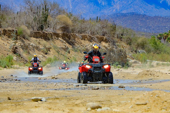 4x4 ATV Adventure with Tequila Tasting and Mexican Buffet Lunch - What the tequila and mezcal tasting is really like