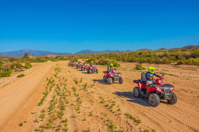 4x4 ATV Adventure with Tequila Tasting and Mexican Buffet Lunch - The real price, including the extra $60