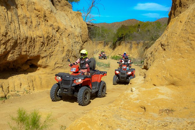 4x4 ATV Adventure with Tequila Tasting and Mexican Buffet Lunch - Timing, group pace, and the ride back