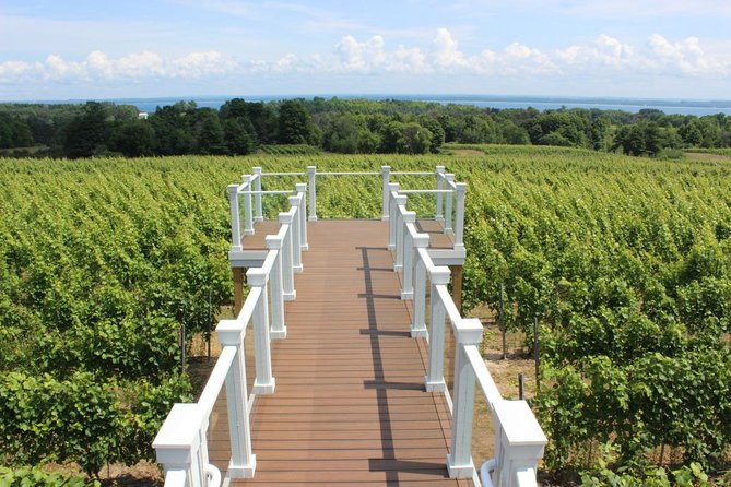 5-Hour Traverse City Wine Tour: 4 Wineries on Old Mission Peninsula - The real cost of the tour