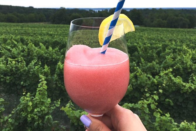 5-Hour Traverse City Wine Tour: 4 Wineries on Old Mission Peninsula - Who will enjoy this tour most
