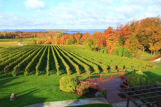 5-Hour Traverse City Wine Tour: 4 Wineries on Old Mission Peninsula - Bowers Harbor Vineyards: broad choices and small bites