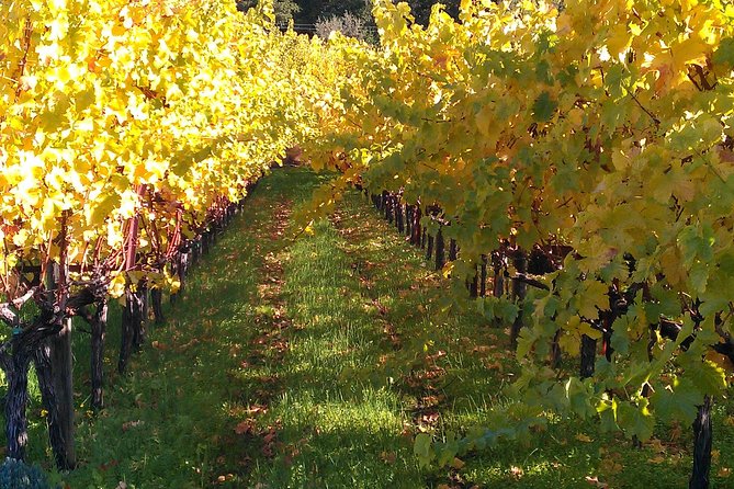 6 Hour Napa or Sonoma Valley Wine Tour by Private SUV - Booking tips that prevent a rushed day