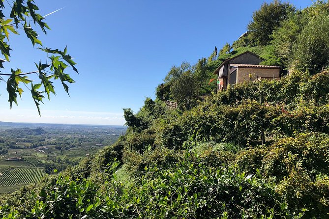 A Sparkling Day in the Prosecco Hills from Venice - The family osteria and its four-course lunch