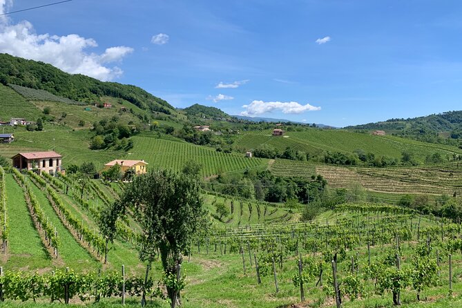 A Sparkling Day in the Prosecco Hills from Venice - Booking, weather, and timing advice