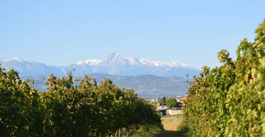 Abruzzo: Historic Cellar Wine Tour and Tasting - Key points at a glance