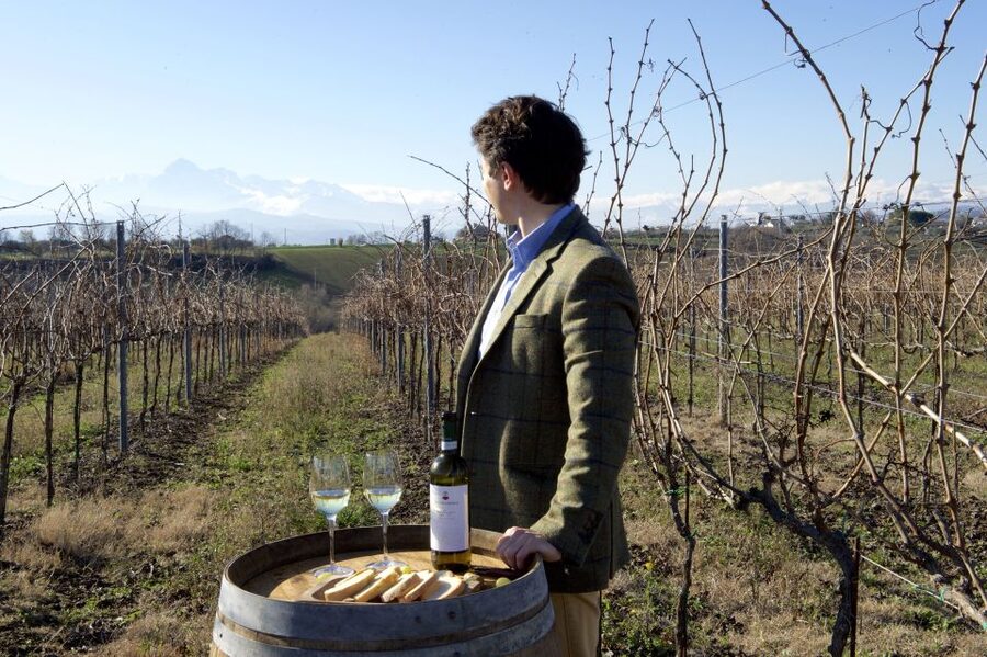 Abruzzo: Historic Cellar Wine Tour and Tasting - Why the 1863 cellar gives this visit its character