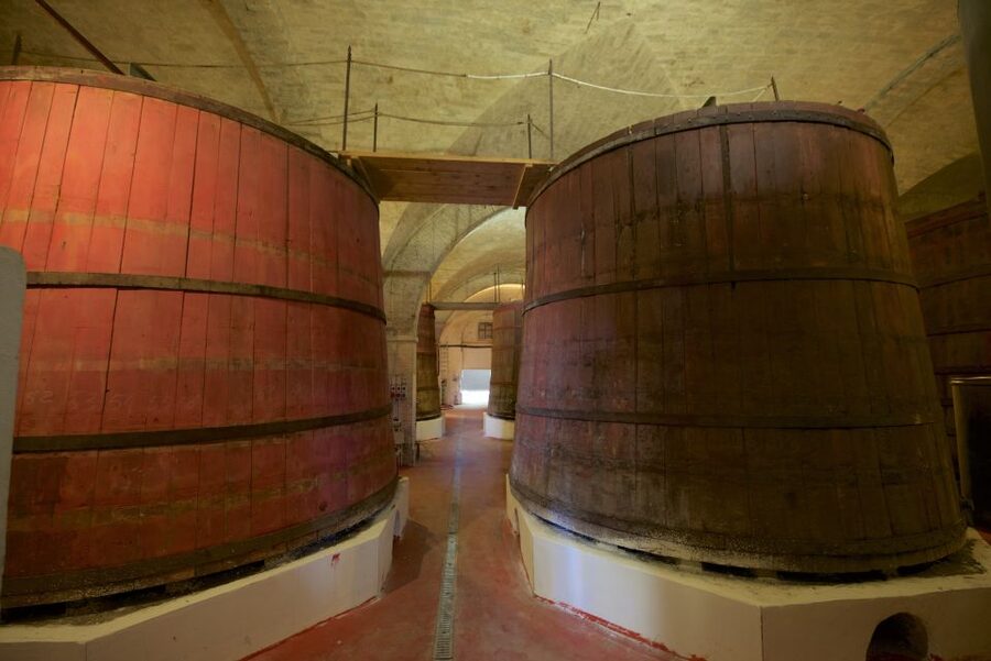 Abruzzo: Historic Cellar Wine Tour and Tasting - Five wines with an Abruzzo identity