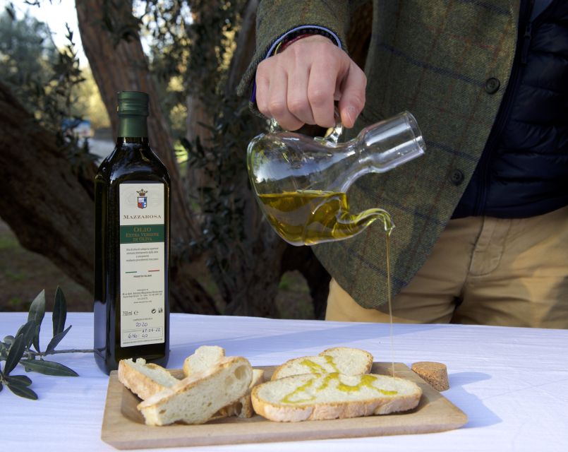 Abruzzo: Historic Cellar Wine Tour and Tasting - Cantuccini and Vino Cotto: a distinctly local ending