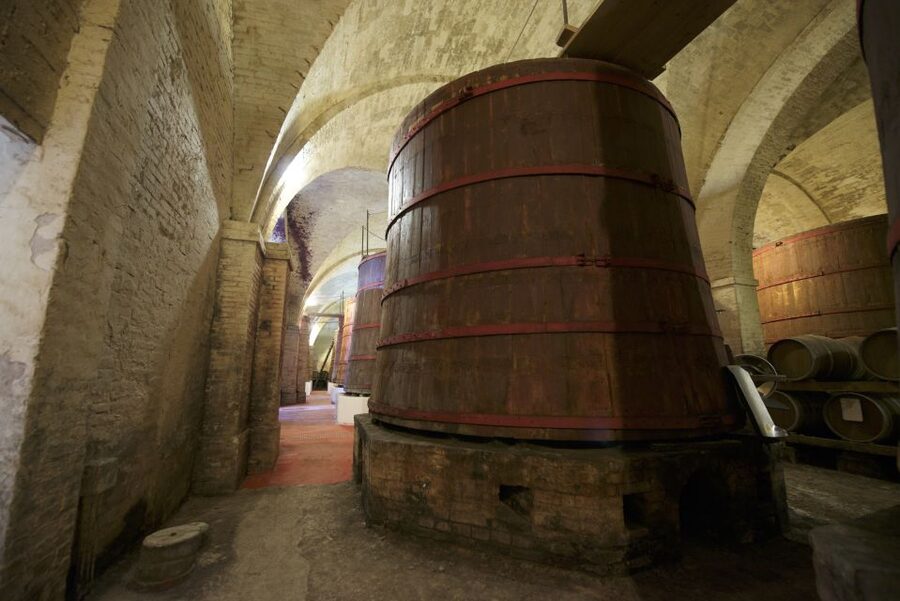 Abruzzo: Historic Cellar Wine Tour and Tasting - What the guide adds to the experience