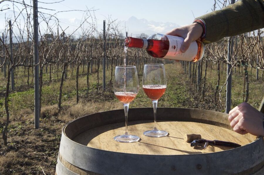 Abruzzo: Historic Cellar Wine Tour and Tasting - Is $41 a fair price for 90 minutes?