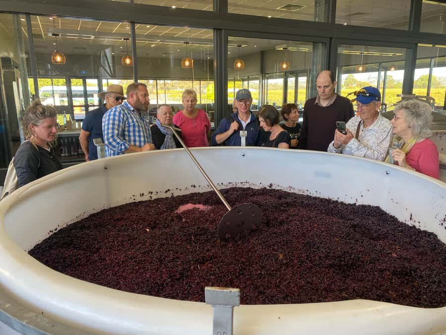 Adelaide: Barossa Premium Wine Tasting tour & Winery Lunch - Turkey Flat combines tasting with a proper Barossa lunch