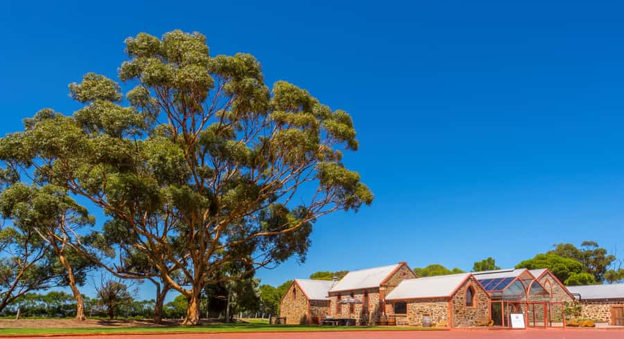 Adelaide: Half-day McLaren Vale & Glenelg Wine Tasting Tour - Key points at a glance