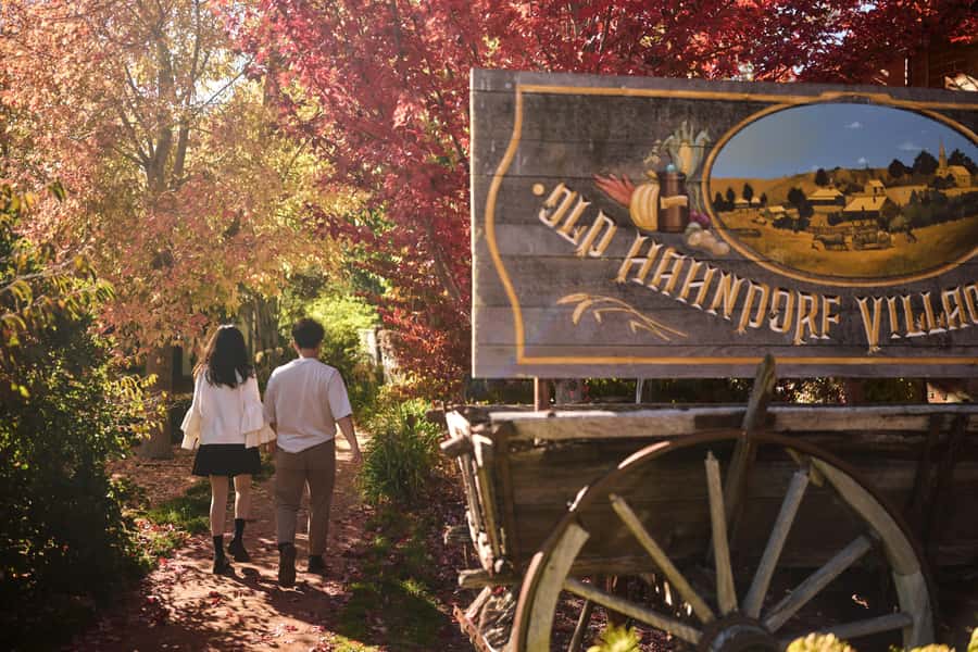 Adelaide: Highlights, Hahndorf & McLaren Vale Wine Tasting - The day in six useful points