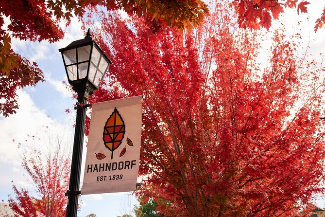 Adelaide Highlights, Hahndorf & McLaren Vale Wine Tasting and Sightseeing Tour - Glenelg and the choice to stay by the sea