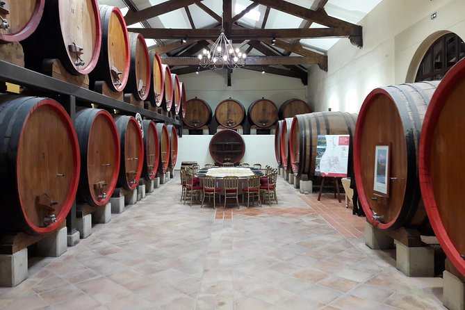 Afternoon Wine Tour to Chateauneuf du Pape from Avignon - Two wineries and several different pours