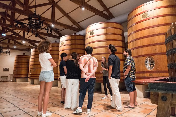 Afternoon Wine Tour to Chateauneuf du Pape from Avignon - The guide can make or break the afternoon
