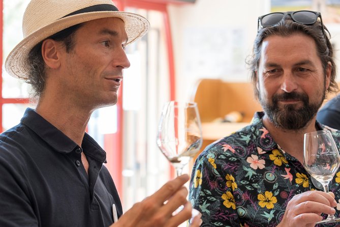 Afternoon Wine Tour to Chateauneuf du Pape from Avignon - How the timing works for a four-hour outing