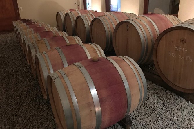 Afternoon Wine Tour to Chateauneuf du Pape from Avignon - Who will get the most from this tour