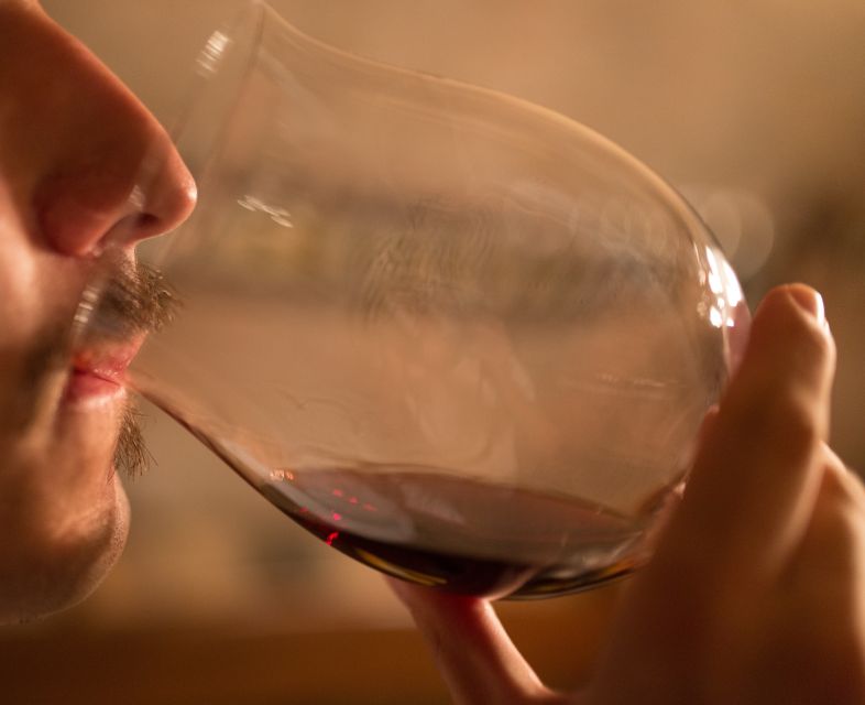 Alba: Truffle Hunting with Cheese, Truffle, & Wine Tastings - Timing, seasons, and what to wear