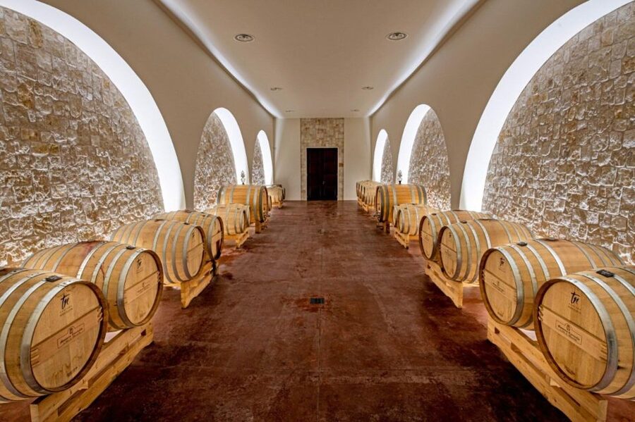 Alberobello: Winery Tour with Wine and Food Tasting - Primitivo with DOP specialties and cherry honey