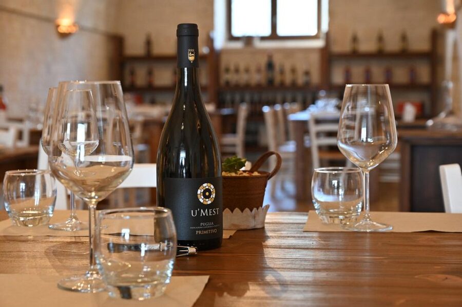 Alberobello: Winery Tour with Wine and Food Tasting - Who should book this winery visit?