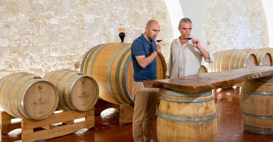 Alberobello: Winery Tour with Wine and Food Tasting - Walking through the vineyard and winery