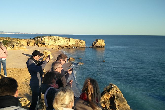 Albufeira: City Highlights & WINE TASTING - The second viewpoint: Marina and harbor views