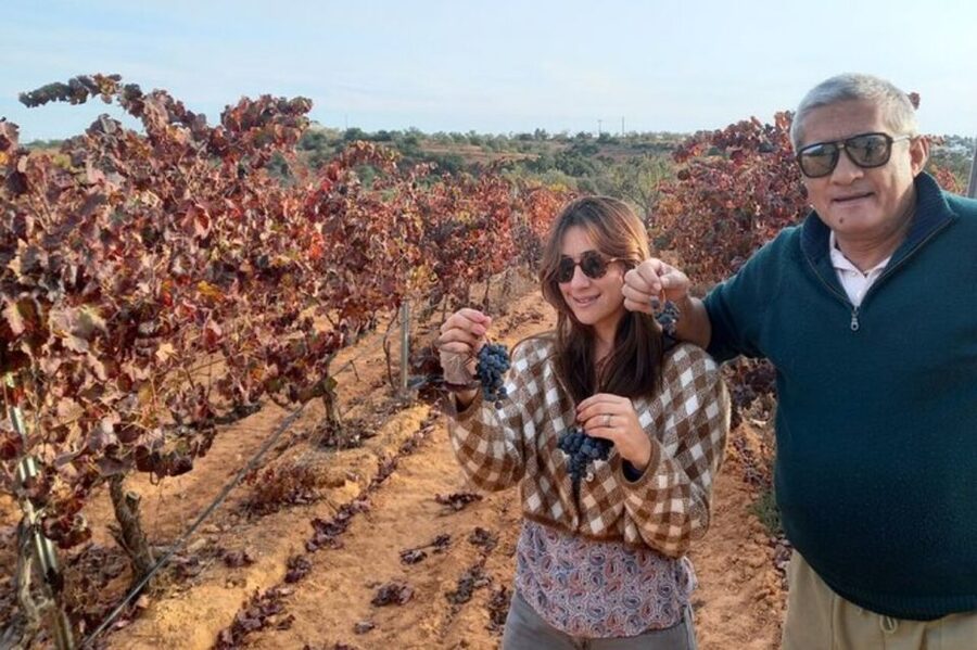 Albufeira/Vilamoura: Winery Tour with Wine Tasting and Tapas - A family winery with room to learn