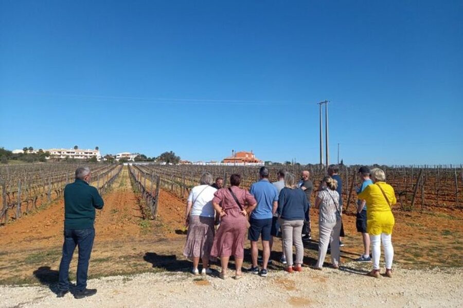 Albufeira/Vilamoura: Winery Tour with Wine Tasting and Tapas - Small details that improve the day