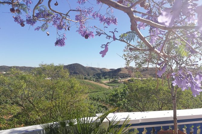 Albufeira Wine Tasting: Boutique Winery Tour & Historic Silves - Small group promise, with one important qualification