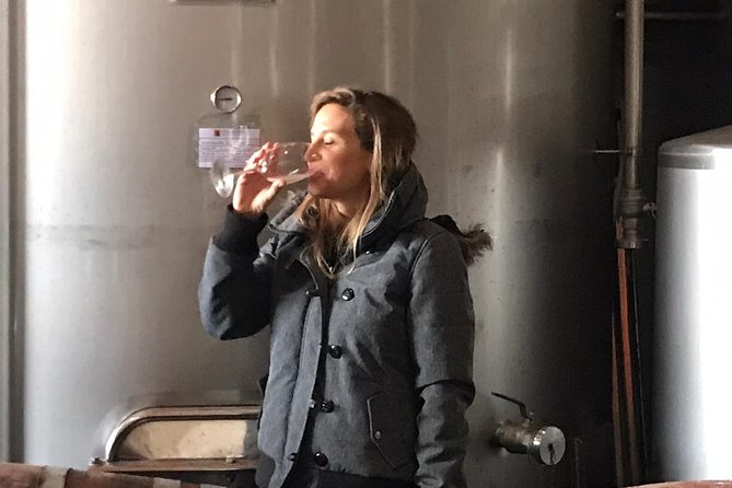 Albufeira Wine Tasting: Boutique Winery Tour & Historic Silves - Who will enjoy this most