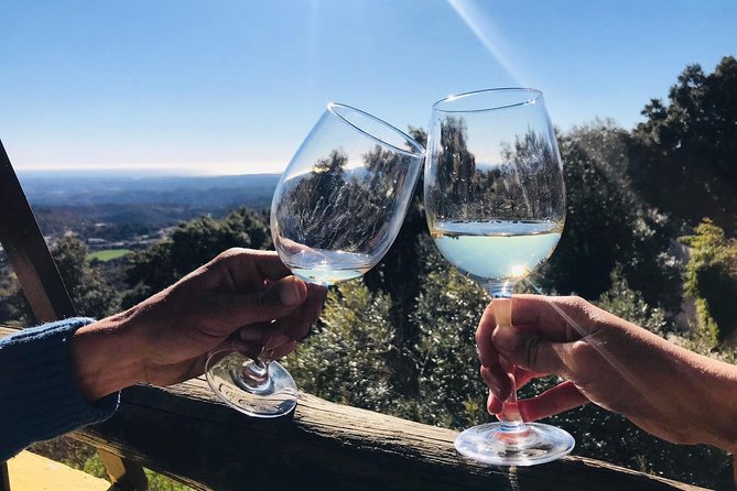 Albufeira Wine Tour: 2 Vineyards, 6 Tastings & Historic Silves - Six tastings, snacks, and a sensible pace
