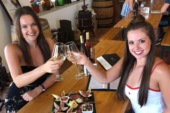 Albufeira Wine Tour: 2 Vineyards, 6 Tastings & Historic Silves - Who should book this Algarve wine tour?