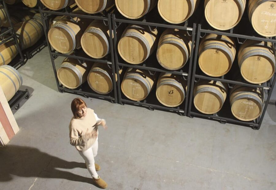 Alcúdia/Can Picafort: Guided Vineyard Visit and Wine Tasting - Booking details worth knowing