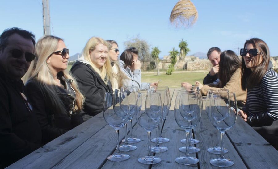 Alcúdia/Can Picafort: Guided Vineyard Visit and Wine Tasting - Five wines, five chances to compare