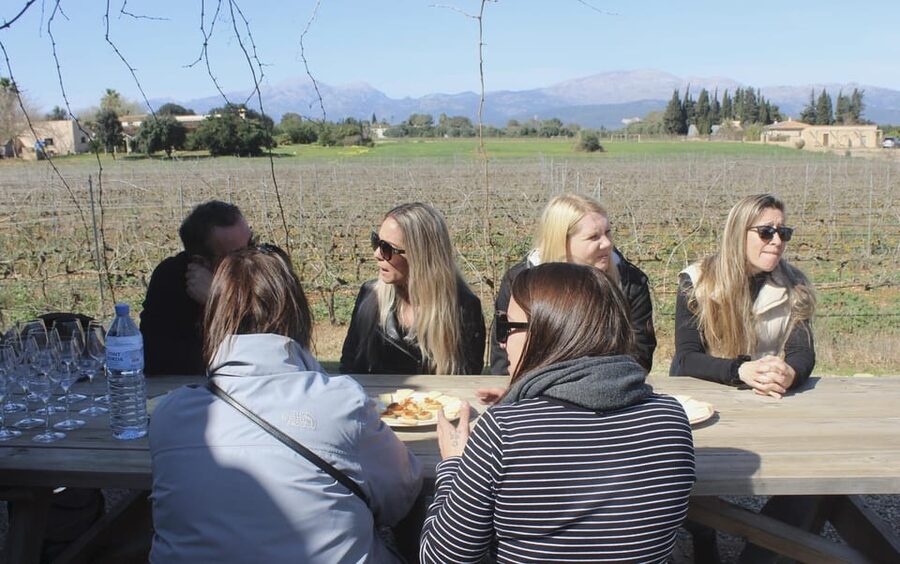 Alcúdia/Can Picafort: Guided Vineyard Visit and Wine Tasting - Local snacks instead of a full lunch