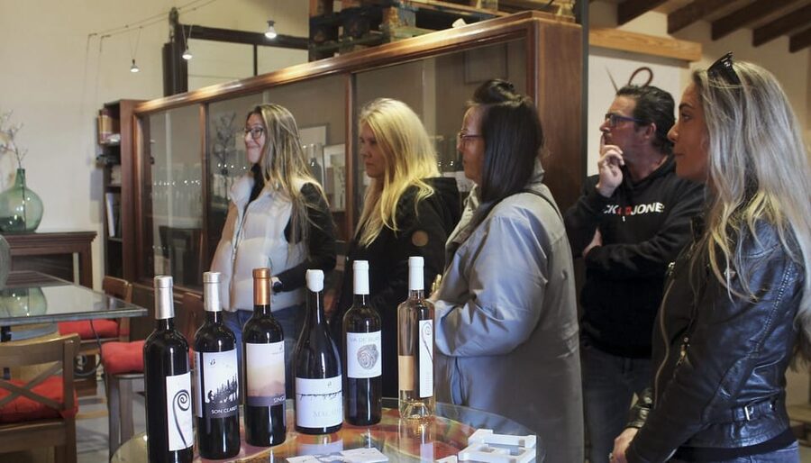 Alcúdia/Can Picafort: Guided Vineyard Visit and Wine Tasting - Is $58 a fair price?