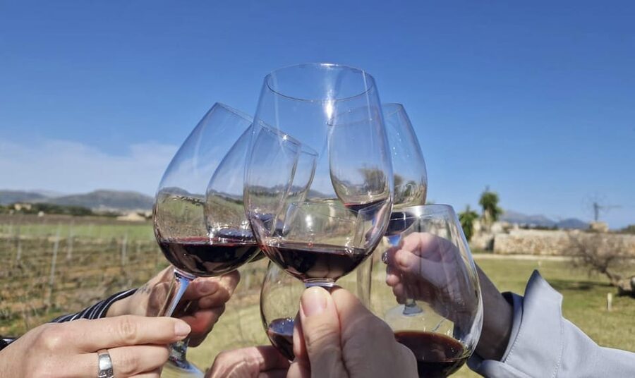 Alcúdia/Can Picafort: Guided Vineyard Visit and Wine Tasting - Walking through the vines