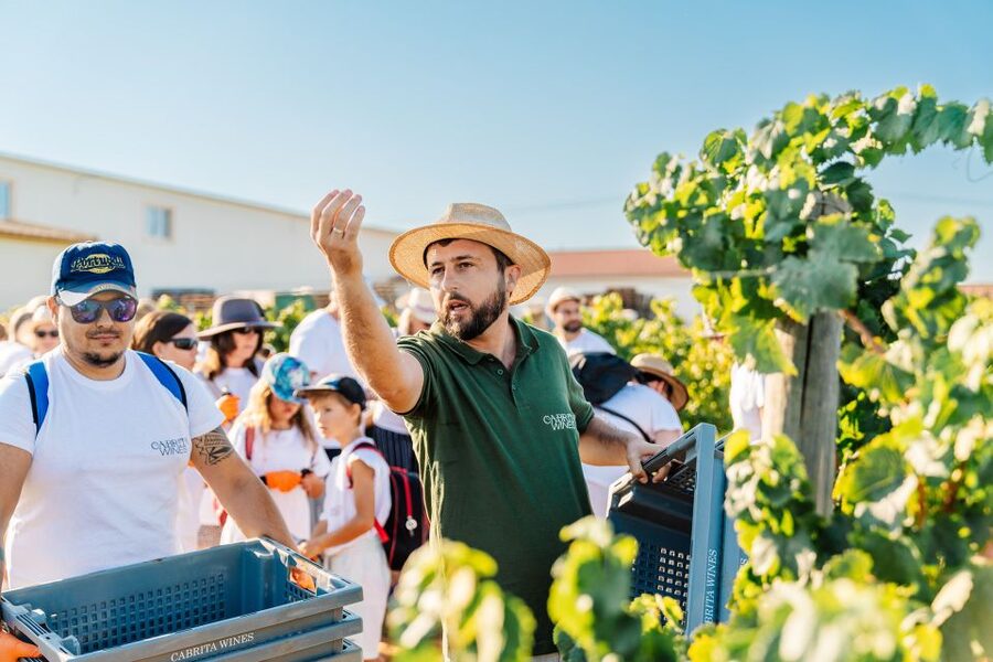 Algarve: Classic Wine Tour & Tasting in Silves - Small details that make the visit easier