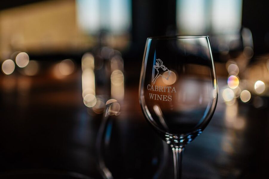 Algarve: Classic Wine Tour & Tasting in Silves - The vineyard, cellar, and barrel room
