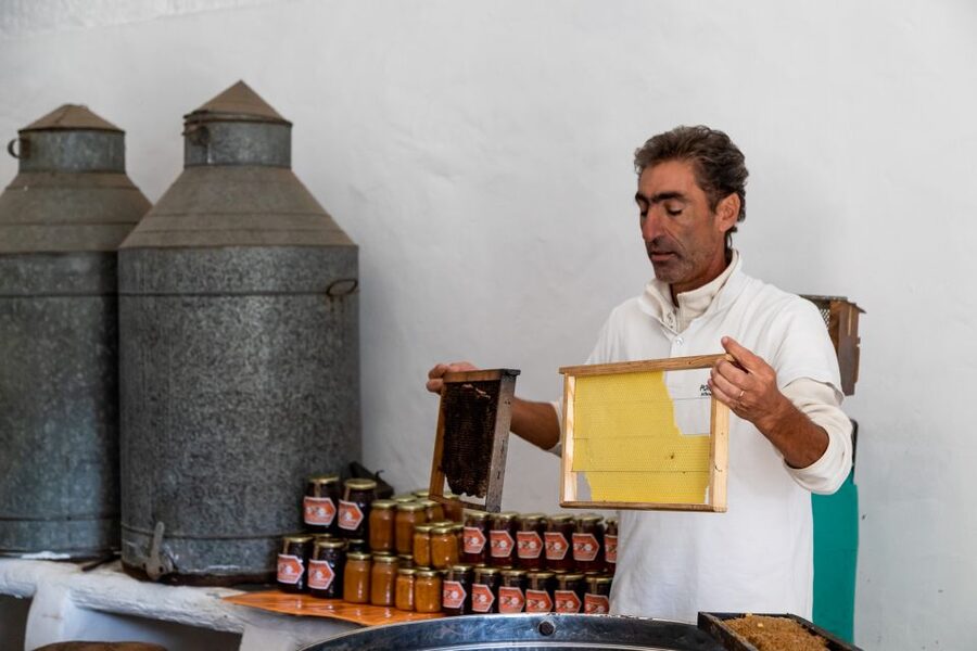 Algarve: Jeep Safari with Distillery Visit & Lunch - Honey, plants, and the Algarve’s working countryside