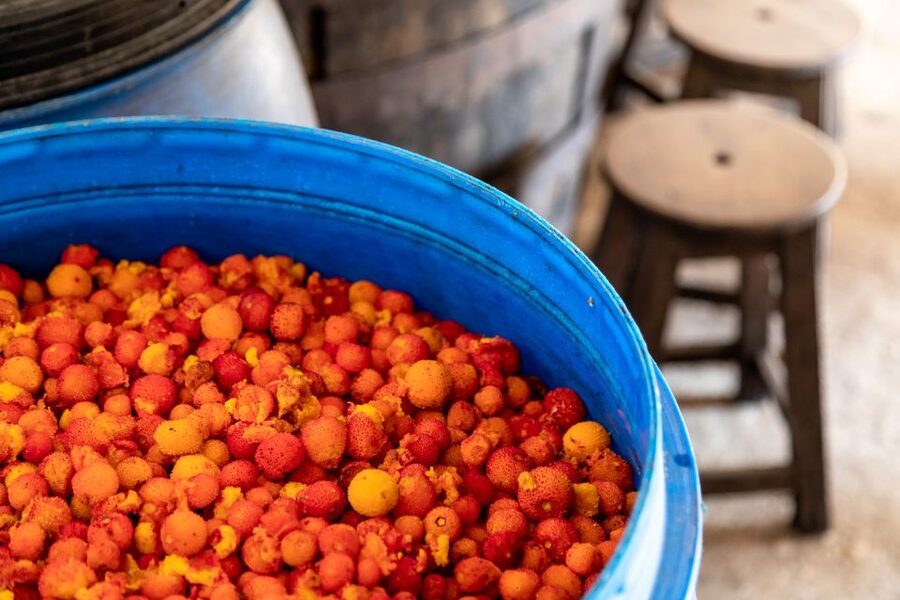 Algarve: Jeep Safari with Distillery Visit & Lunch - Lunch at a traditional local restaurant