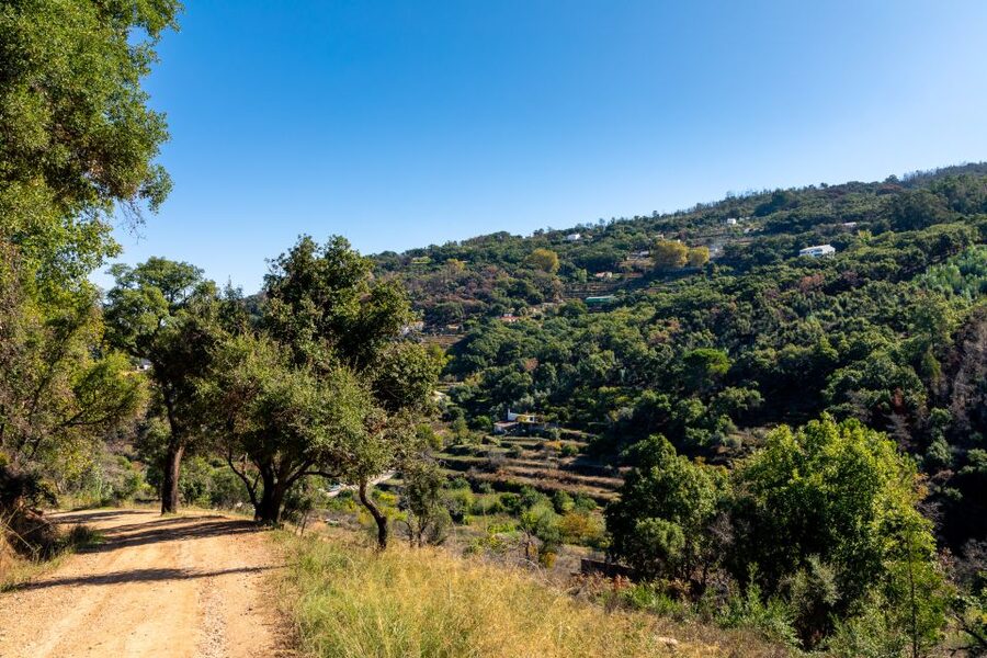 Algarve: Jeep Safari with Distillery Visit & Lunch - What the Jeep ride feels like in practice